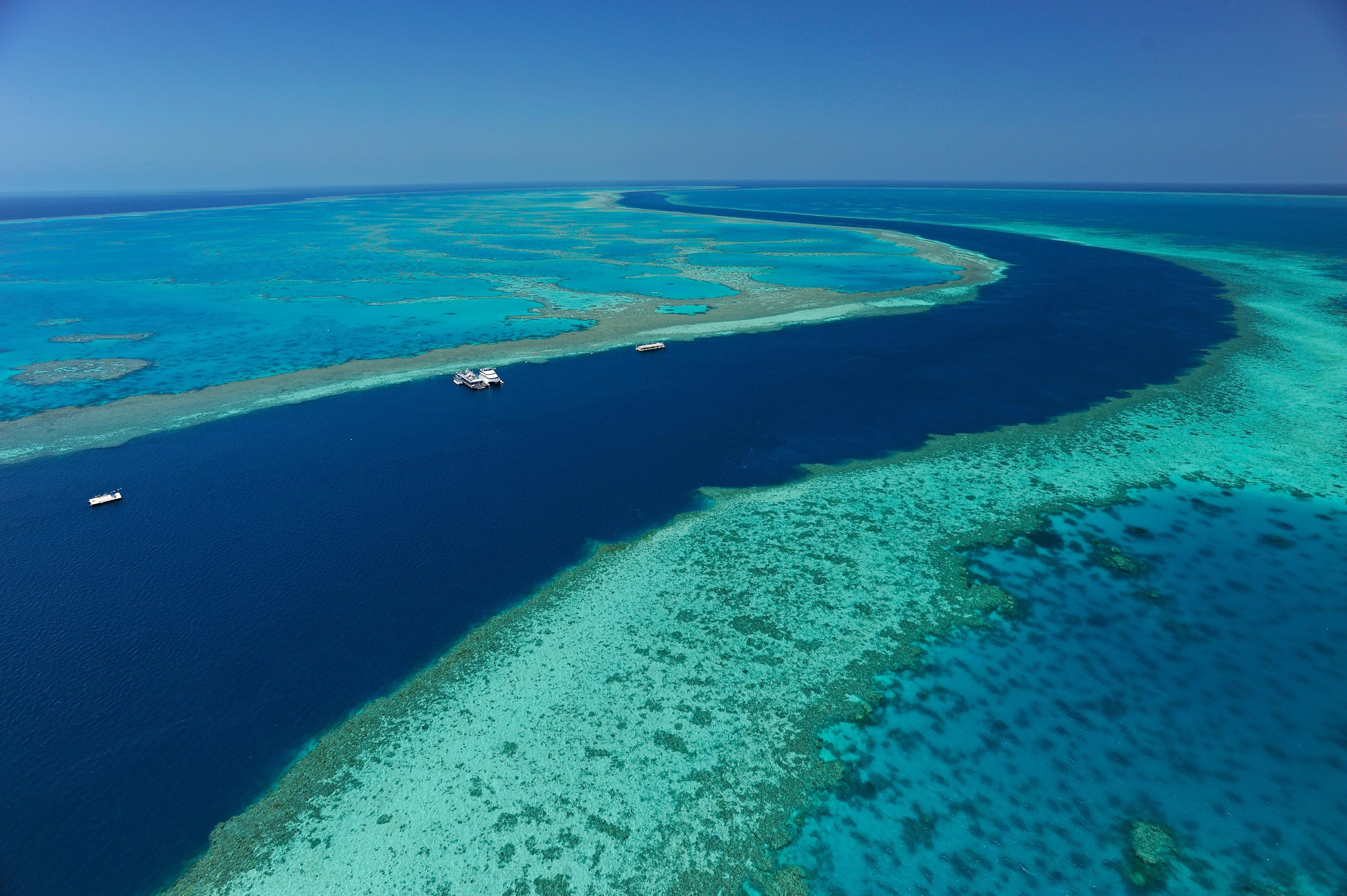 Reef View Hotel Остров Гамильтон Экстерьер фото